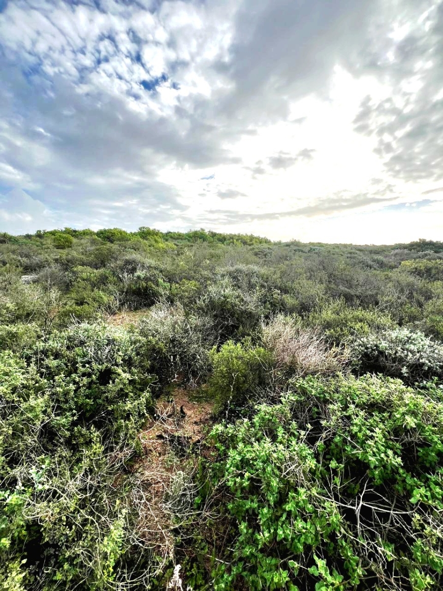  Bedroom Property for Sale in Britannica Heights Western Cape